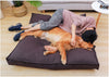 Dog Pillow Bed